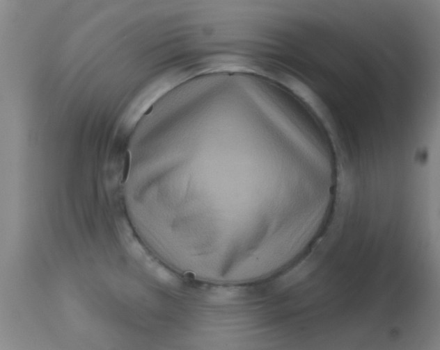 X0000113181385200910161321
