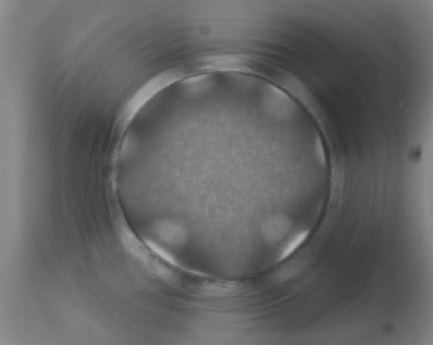 X0000113181386200910161321