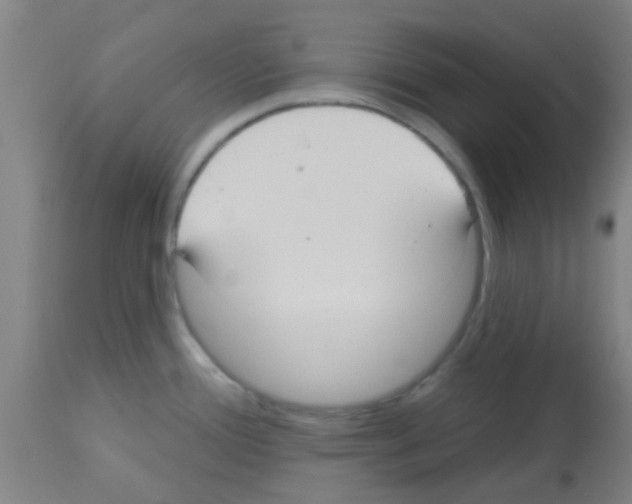 X0000113181388200910161321