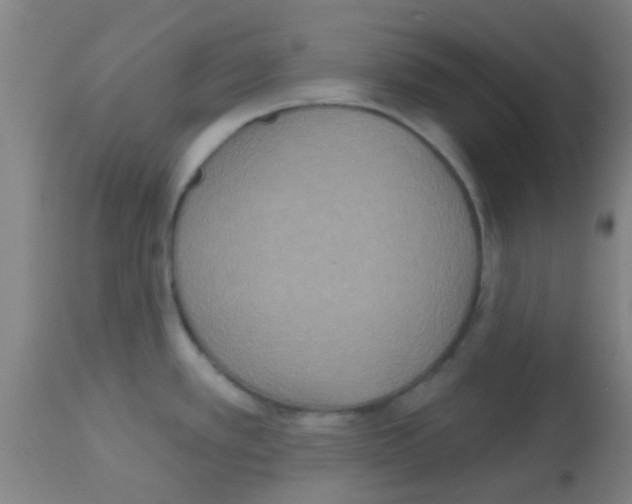 X0000113181389200910161321