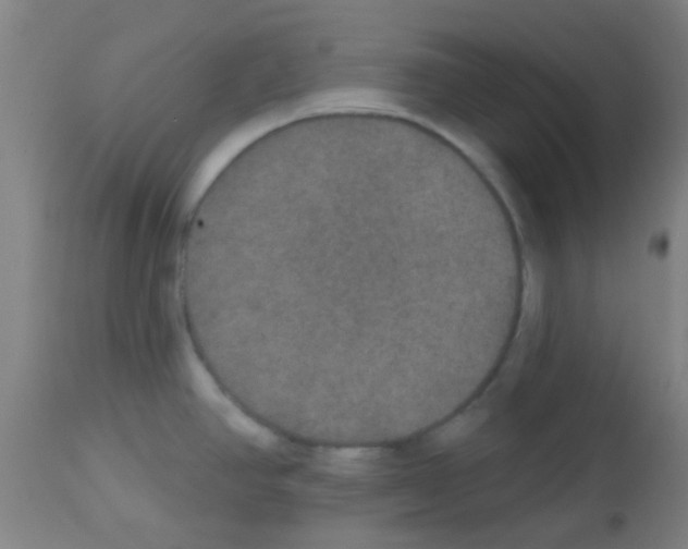 X0000113181390200910161321