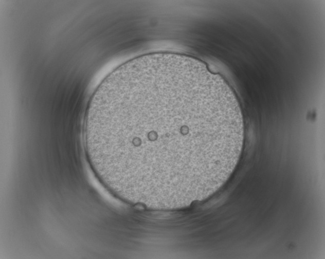 X0000113181391200910161321