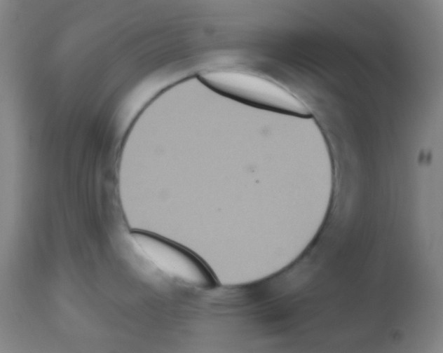 X0000113181392200910161321