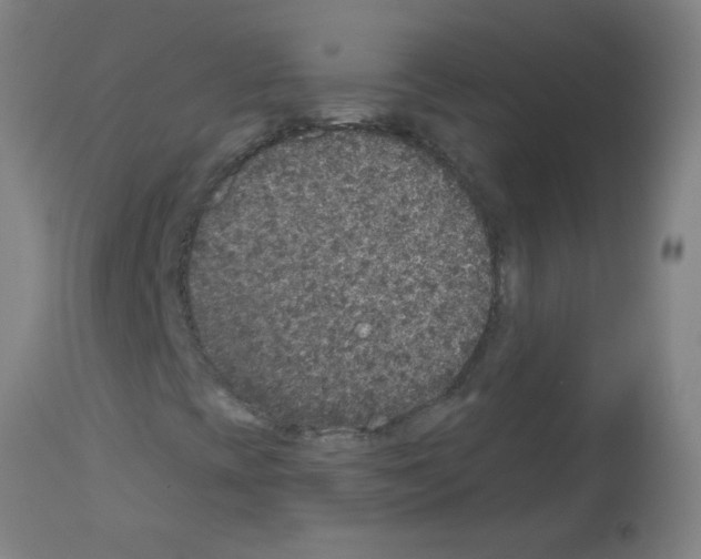 X0000113181393200910161320