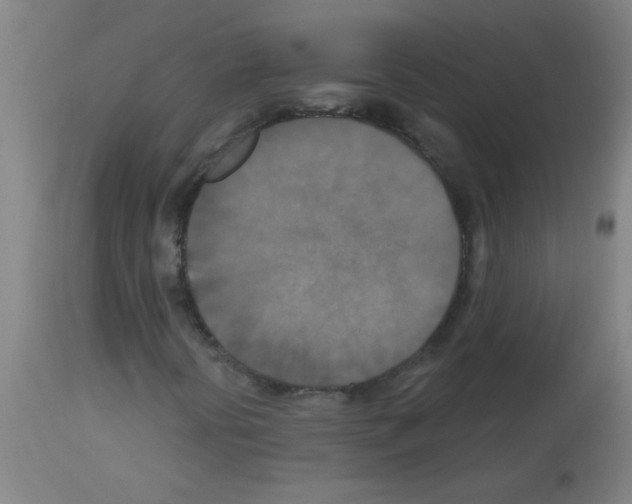 X0000113181394200910161320