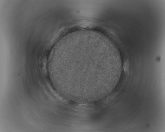 X0000113181396200910161320