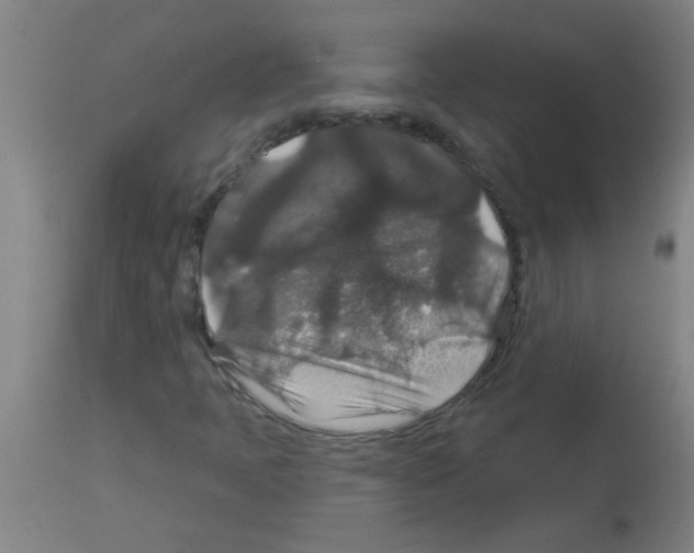 X0000113181397200910161320