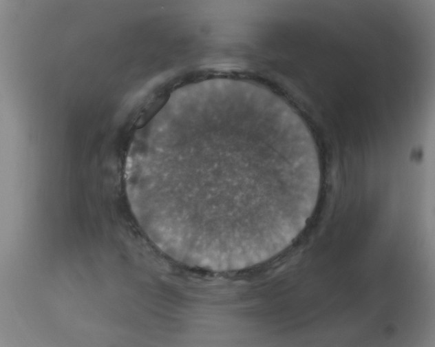 X0000113181398200910161321