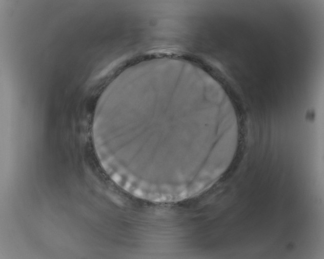 X0000113181399200910161321