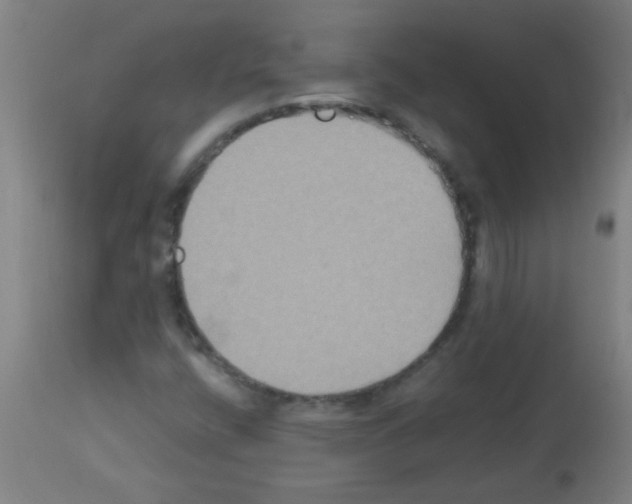 X0000113181400200910161321