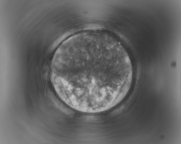 X0000113181401200910161321