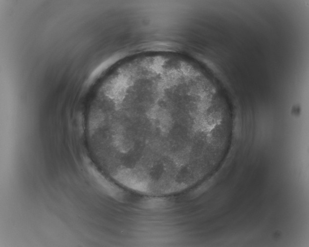 X0000113181402200910161321