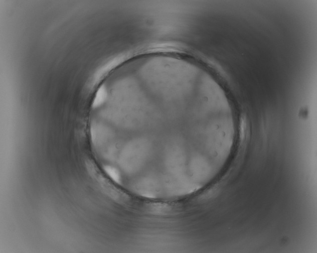 X0000113181405200910161321