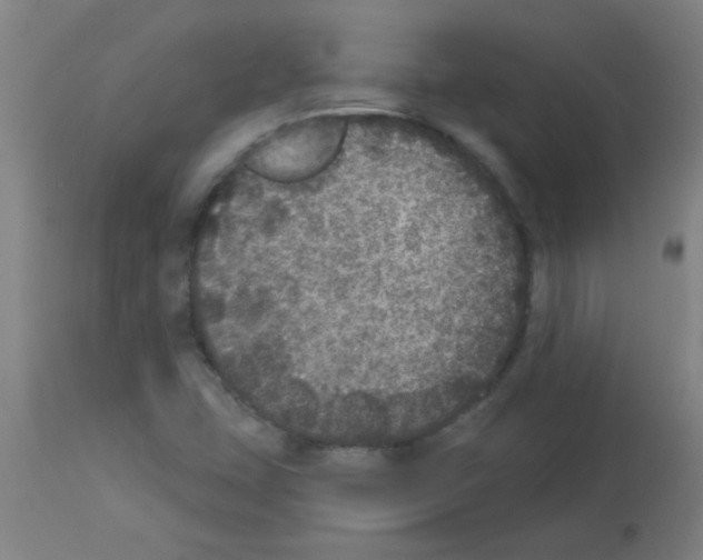 X0000113181407200910161321