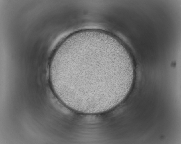 X0000113181408200910161321