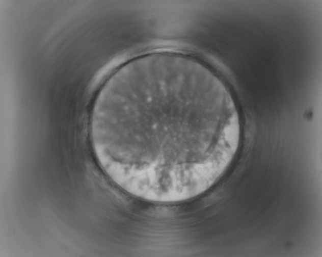 X0000113181411200910161321