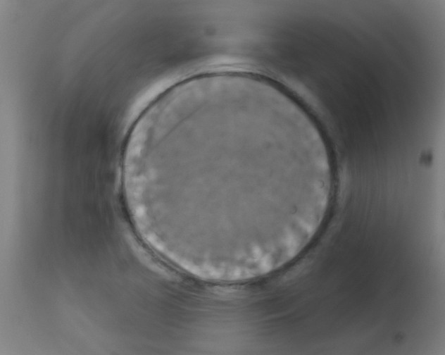 X0000113181413200910161321