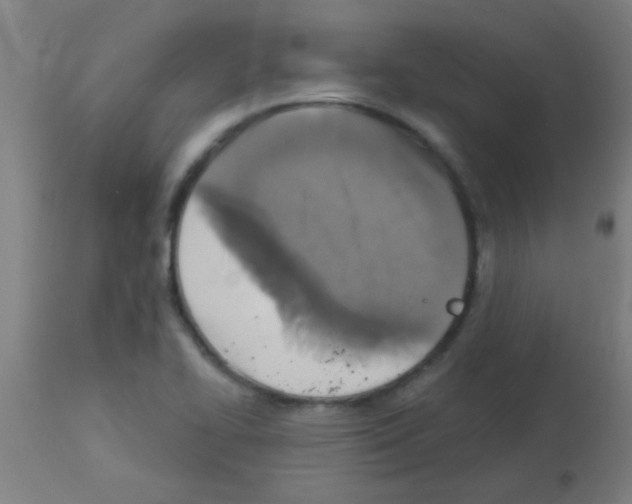 X0000113181414200910161321