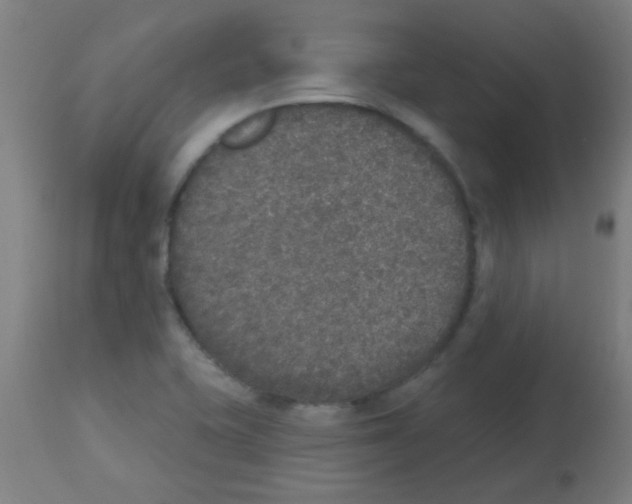 X0000113181415200910161321
