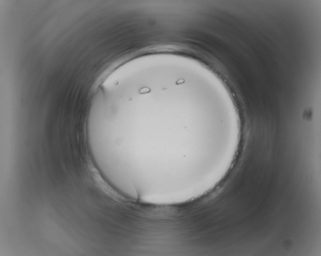 X0000113181417200910161321