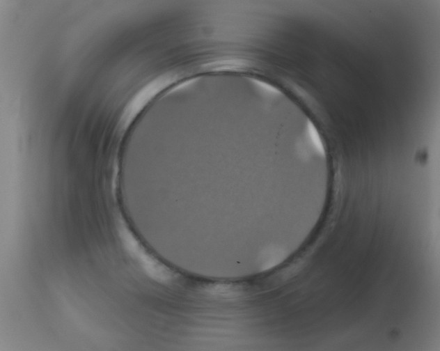 X0000113181418200910161321