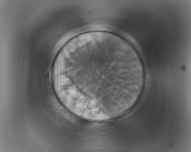 X0000113181419200910161321