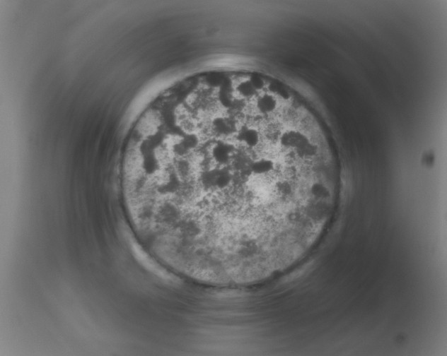 X0000113181421200910161321