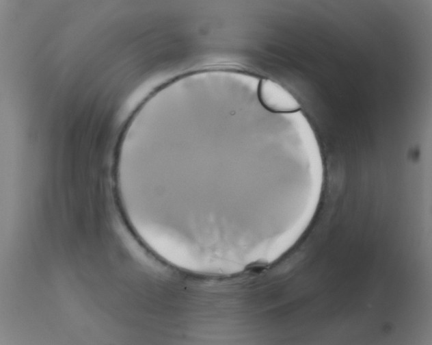 X0000113181422200910161321