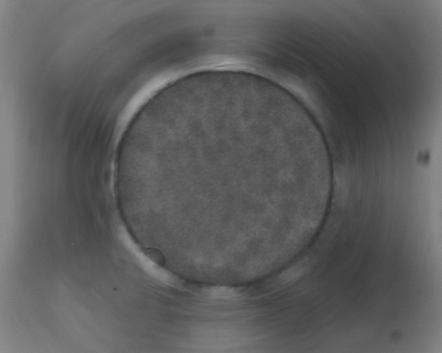X0000113181424200910161321