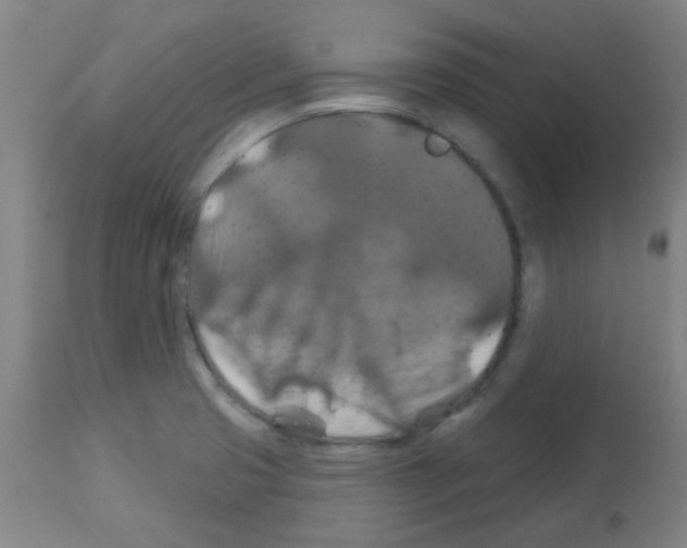 X0000113181425200910161321