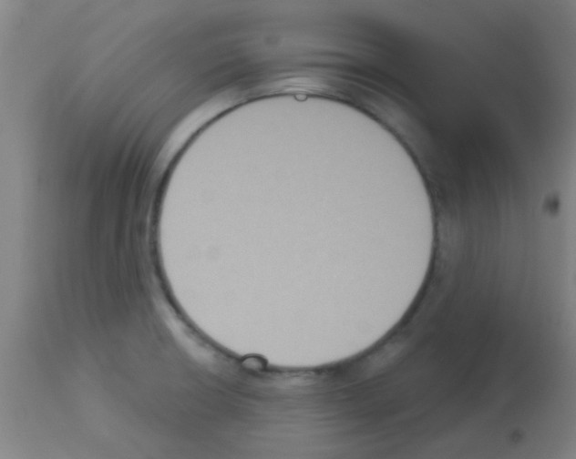 X0000113181426200910161321