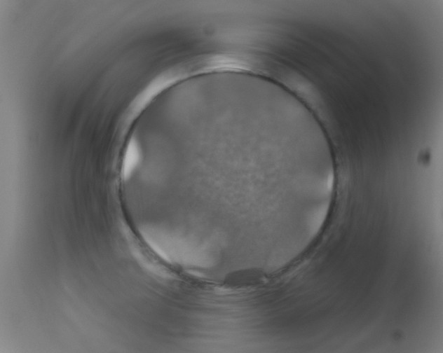 X0000113181427200910161321