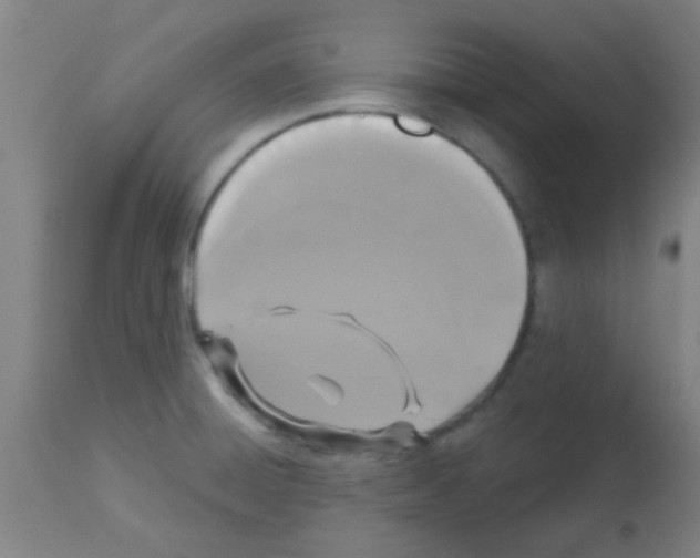 X0000113181428200910161321