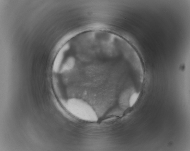 X0000113181429200910161321