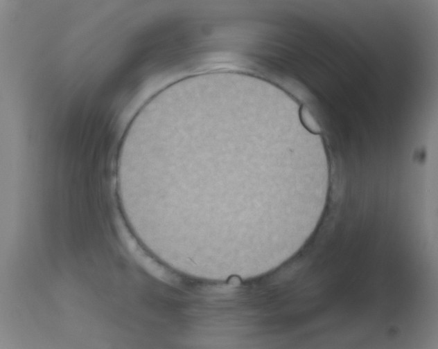 X0000113181431200910161321