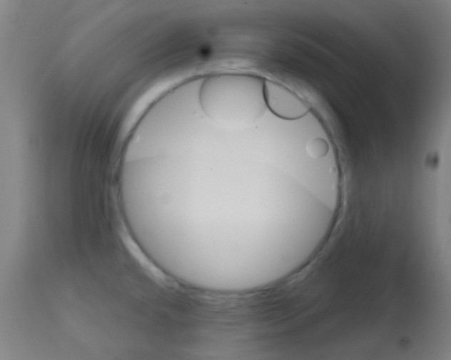X0000113181432200910161321