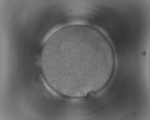X0000113181433200910161321