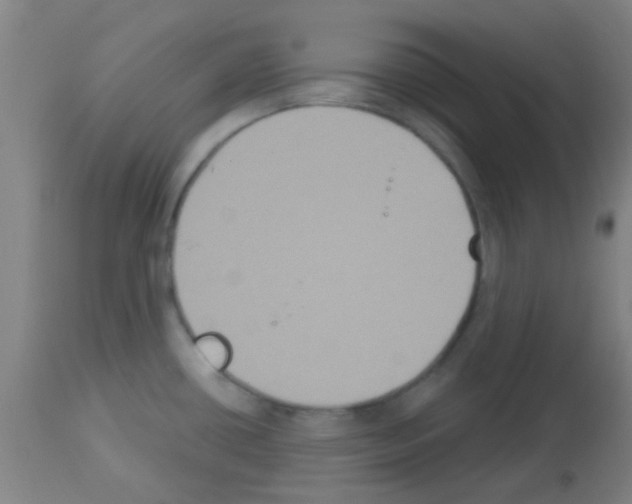 X0000113181434200910161321