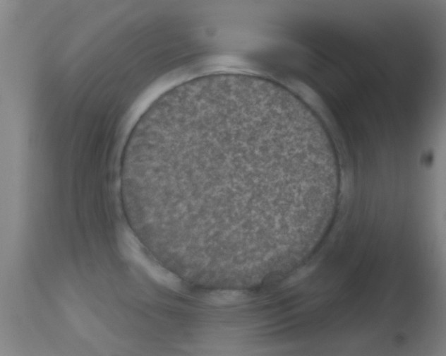 X0000113181435200910161321