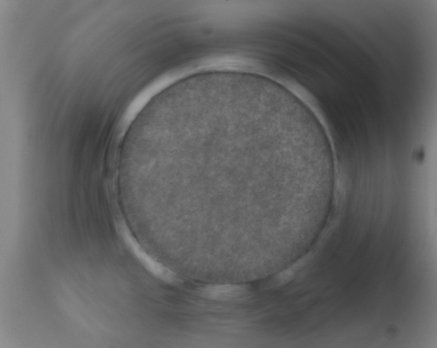 X0000113181437200910161321