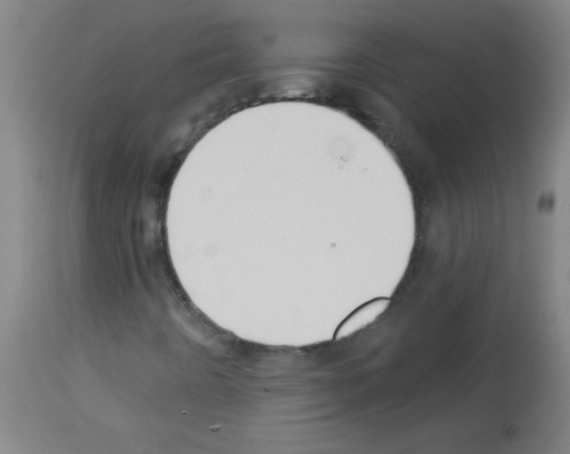 X0000113181442200910161320