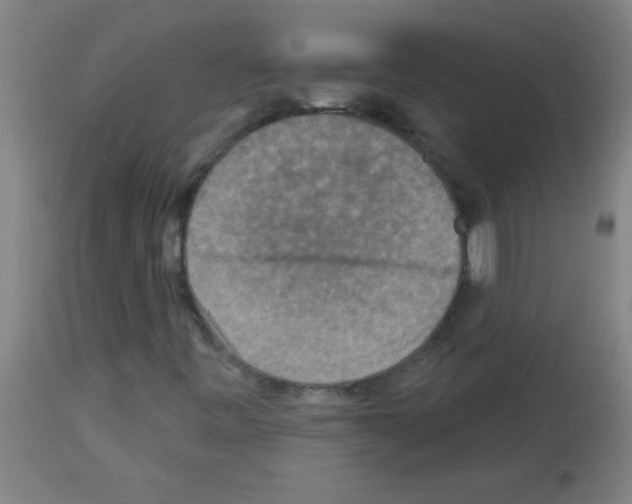 X0000113181443200910161320