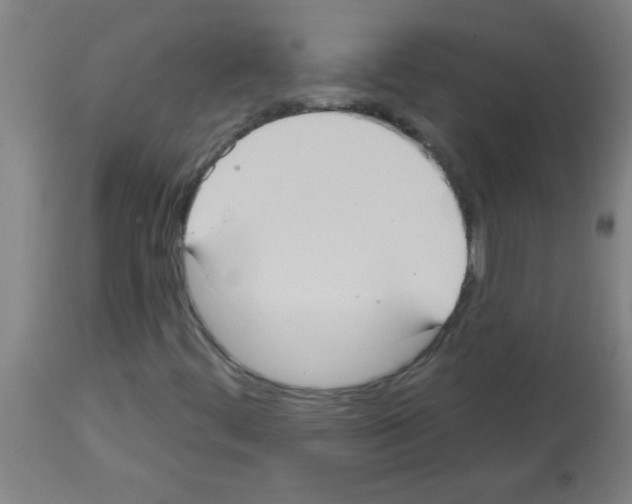 X0000113181444200910161320