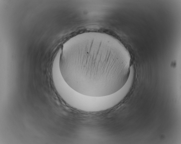 X0000113181445200910161320
