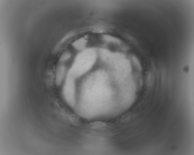 X0000113181446200910161320