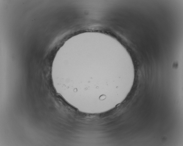 X0000113181447200910161320