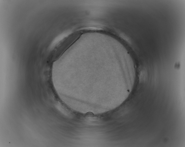 X0000113181448200910161320