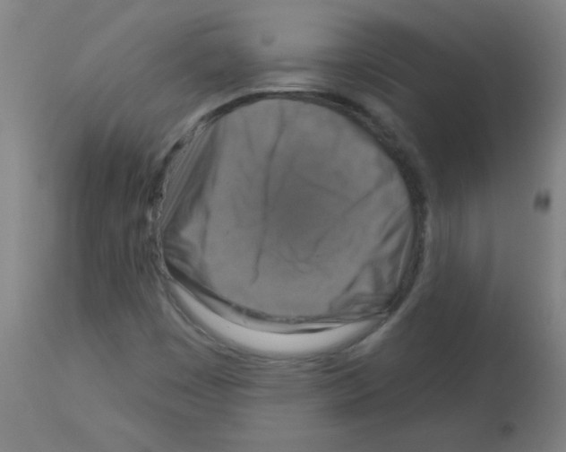 X0000113181449200910161320