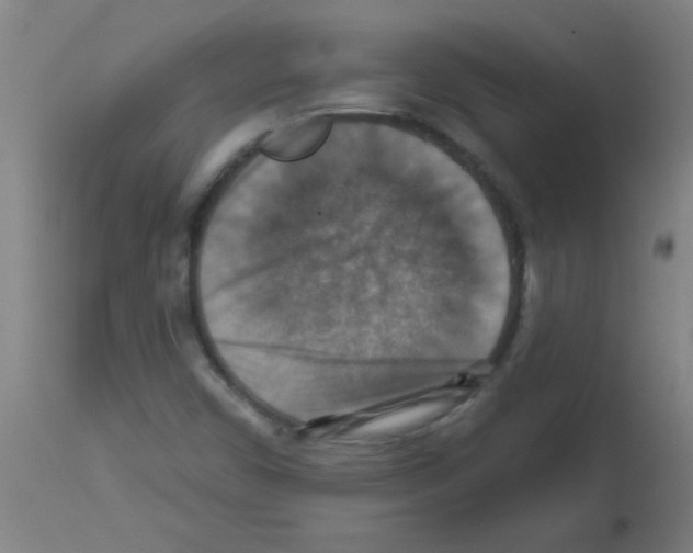 X0000113181450200910161320
