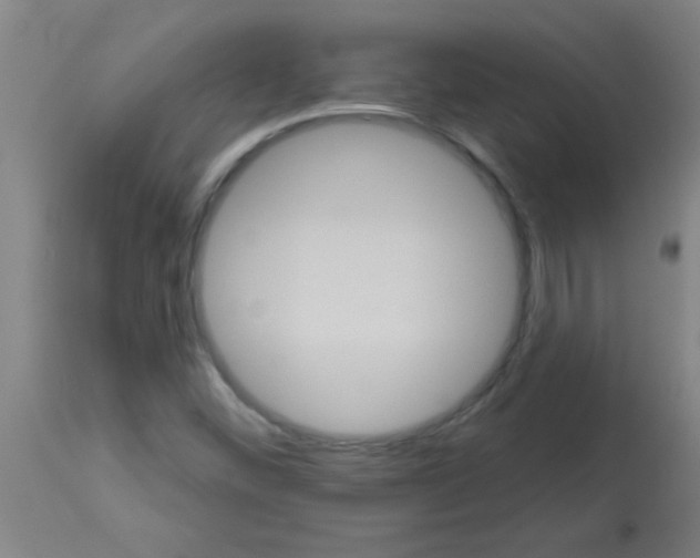 X0000113181452200910161320